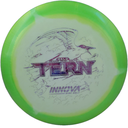 Halo Star Tern